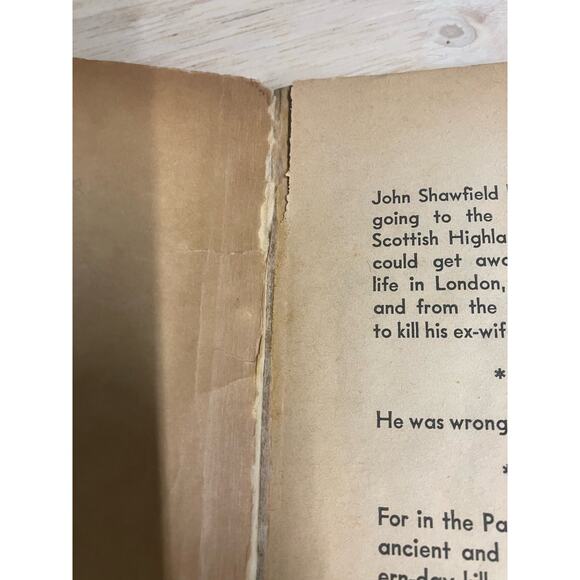 Vintage Gothic Novels, Lot of 4, Blackstock, McRae, Caldwell, Hale, Horror, VTG - Picture 11 of 12